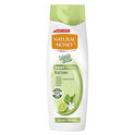 Champú Cabello Graso Champú Cabello Graso